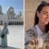 middle east updates